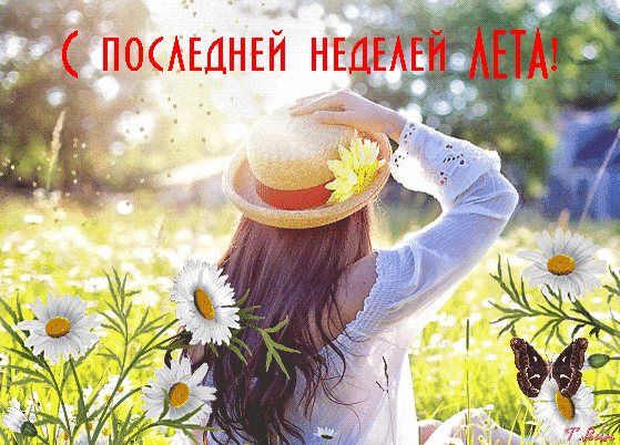 Поздравительная открытка «С последней неделей лета!»: девушка в соломенной шляпе среди цветущих ромашек на фоне солнечного летнего поля. Анимированная открытка С последней неделей Лета! Красивая поздравительная открытка к последней неделе лета. На изображении девушка со спины в светлой одежде и соломенной шляпе с желтым цветком, стоящая в поле белых ромашек под солнечными лучами. В верхней части картинки яркая красная надпись на русском языке: «С ПОСЛЕДНЕЙ НЕДЕЛЕЙ ЛЕТА!»