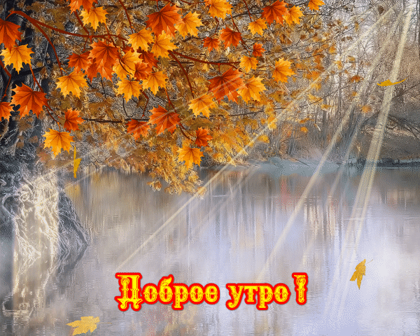 Осенний пейзаж с золотыми листьями клена, солнечными лучами и надписью «Доброе утро!». Уютная открытка для пожелания хорошего дня в осеннее время года. Анимированная открытка Доброе утро! Живописный осенний пейзаж с ветками клена, покрытыми золотистыми и оранжевыми листьями, на фоне спокойной реки или озера. Солнечные лучи пробиваются сквозь листву, создавая атмосферу тепла и уюта. На переднем плане расположена яркая надпись на русском языке «Доброе утро!», выполненная в желто-красных тонах