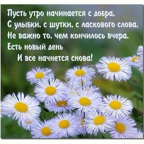 Доброе утро! Красивая открытка с вдохновляющими словами и нежными ромашками. Пожелание хорошего дня и позитивного настроения для ваших близких. Открытка Пусть утро начинается с добра, с улыбки, шутки, ласкового слова! Красивая поздравительная открытка с вдохновляющей цитатой на русском языке. На фоне нежных белых ромашек с желтой сердцевиной расположен текст: 