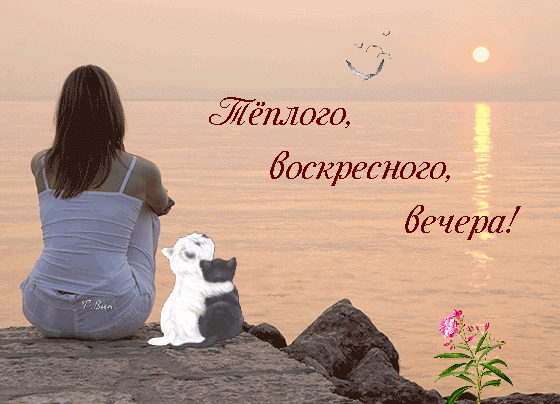 Уютная открытка с надписью «Теплого, воскресного, вечера!». Девушка и котята на берегу моря на фоне красивого заката. Идеально для пожеланий и соцсетей. Анимированная открытка Теплого, воскресного, вечера! Эстетичное и уютное изображение, передающее атмосферу спокойного воскресного вечера на берегу моря. На переднем плане девушка в светлой одежде и два маленьких котенка (белый и черный) сидят на камнях спиной к зрителю, наблюдая за закатом. Теплые золотистые тона заката, блики солнца на воде и летящие птицы создают ощущение безмятежности. На картинке размещена надпись на русском языке: «Теплого, воскресного, вечера!»