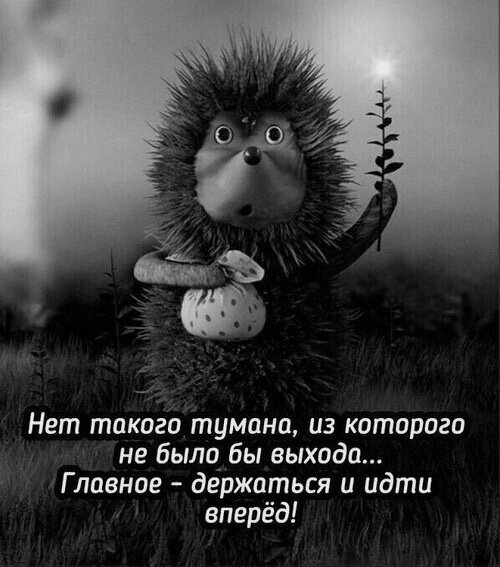 Мотивирующая цитата с Ежиком в тумане: «Нет такого тумана, из которого не было бы выхода... Главное — держаться и идти вперед!» Черно-белое вдохновляющее фото. Открытка Нет такого тумана, из которого не было бы выхода… Главное - держаться и идти вперед! Черно-белое изображение с персонажем из мультфильма «Ежик в тумане». На картинке изображен милый пушистый ежик, который несет яблоко. На фоне наложен мотивирующий текст на русском языке: «Нет такого тумана, из которого не было бы выхода... Главное — держаться и идти вперед!». Изображение несет глубокий философский смысл и служит вдохновляющей цитатой для преодоления жизненных трудностей