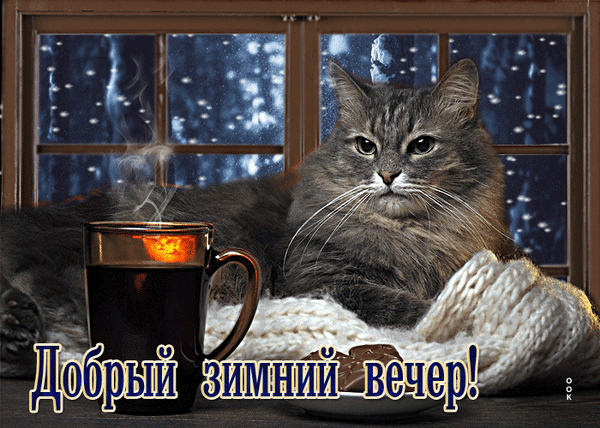 Уютная зимняя открытка: пушистый кот, горячий напиток и снег за окном. Надпись «Добрый зимний вечер!» для создания теплой атмосферы. Анимированная открытка Добрый зимний вечер! Уютная зимняя открытка с пушистым серым котом, отдыхающим у окна в снежный вечер. На переднем плане дымящаяся кружка горячего напитка и мягкая вязаная вещь. Атмосфера тепла, домашнего уюта и спокойствия в зимний период Уютная зимняя открытка: пушистый кот, горячий напиток и снег за окном. Надпись «Добрый зимний вечер!» для создания теплой атмосферы. Анимированная открытка Добрый зимний вечер! Уютная зимняя открытка с пушистым серым котом, отдыхающим у окна в снежный вечер. На переднем плане дымящаяся кружка горячего напитка и мягкая вязаная вещь. Атмосфера тепла, домашнего уюта и спокойствия в зимний период
