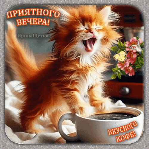 Уютная открытка с зевающим рыжим котенком, чашкой кофе и цветами. Надписи: «Приятного вечера! Вкусного кофе!». Идеально для доброго пожелания вечером. Анимированная открытка Добрый вечер! Милая и уютная открытка с рыжим пушистым котенком, который сладко зевает. На изображении также присутствуют чашка ароматного кофе и нежные розовые цветы. Картинка дополнена вдохновляющими надписями на русском языке: «Приятного вечера!» и «Вкусного кофе!»