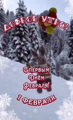 Доброе утро! Открытка с милым зайцем на шарах и поздравлением с 1 февраля на фоне заснеженного леса. Зимнее приветствие для соцсетей и мессенджеров. Анимированная открытка С 1 днем февраля! Красочная зимняя открытка с пожеланием доброго утра. На фоне заснеженного хвойного леса изображен милый заяц, летящий на разноцветных воздушных шарах. На картинке крупным красным шрифтом с белой обводкой написано: «Доброе утро! С первым днем февраля! 1 февраля»