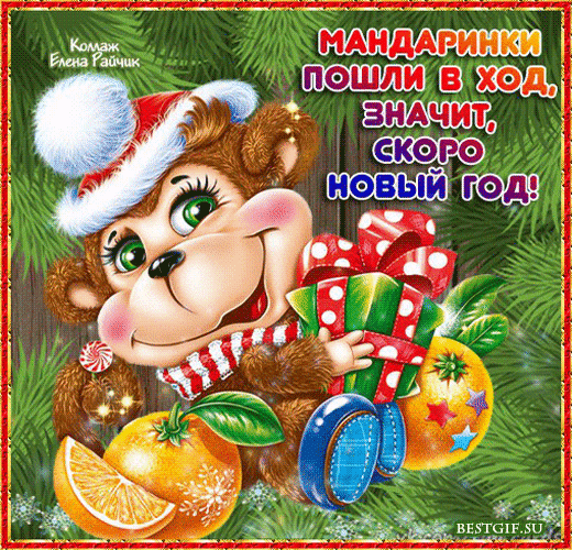 Новогодняя открытка с милым обезьянком, подарками и мандаринами. Надпись: Мандаринки пошли в ход, значит, скоро Новый год!. Яркое праздничное поздравление. Анимированная открытка Мандаринки пошли в ход, значит, скоро новый год! Праздничная новогодняя открытка с милым мультяшным обезьянком в красном новогоднем колпаке с белой опушкой. Обезьянка радостно держит большой подарок в красной банте и окружена сочными мандаринами и апельсинами. Фон украшен ветками зеленой ели и искрящимися снежинками. На картинке крупный текст на русском языке: 