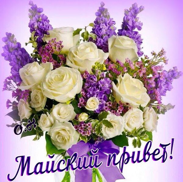 Букет белых роз и фиолетовых цветов с надписью «Майский привет!». Идеальная открытка для поздравлений с весной и майскими праздниками. Открытка Майский привет! Красивый и нежный букет из белых роз и фиолетовых цветов (львиного зева) на светлом фоне. Композиция украшена декоративной надписью на русском языке «Майский привет!», что делает изображение идеальным для поздравительных открыток, пожеланий весны, праздников и отправки в мессенджерах