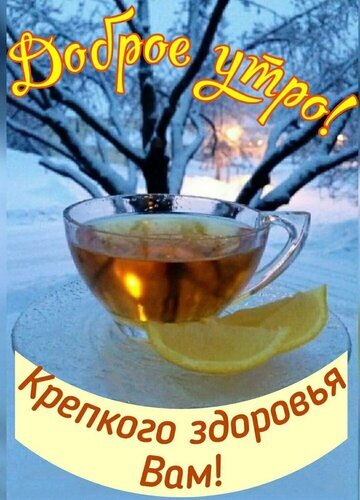 Уютная открытка «Доброе утро!» с чашкой чая и лимоном на фоне зимнего пейзажа. Пожелание крепкого здоровья для близких и друзей. Открытка Крепкого здоровья Вам! Уютная поздравительная открытка для доброго утра. На изображении чашка горячего ароматного чая с лимоном на фоне заснеженного зимнего пейзажа с деревьями. Сверху яркая надпись золотистым шрифтом «Доброе утро!», а снизу теплое пожелание «Крепкого здоровья Вам!» Уютная открытка «Доброе утро!» с чашкой чая и лимоном на фоне зимнего пейзажа. Пожелание крепкого здоровья для близких и друзей. Открытка Крепкого здоровья Вам! Уютная поздравительная открытка для доброго утра. На изображении чашка горячего ароматного чая с лимоном на фоне заснеженного зимнего пейзажа с деревьями. Сверху яркая надпись золотистым шрифтом «Доброе утро!», а снизу теплое пожелание «Крепкого здоровья Вам!»
