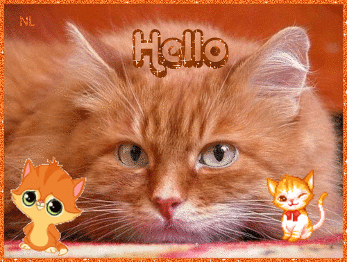 Милый рыжий кот с надписью «Hello» и мультяшными котятами в блестящей золотистой рамке. Идеальная приветственная открытка для любителей котиков. Анимированная открытка Hello рыжий кот Милая и яркая картинка с пушистым рыжим котом крупным планом. На фоне мягкой шерсти расположена надпись «Hello», выполненная в блестящем золотистом стиле. Композицию дополняют две очаровательные мультяшные фигурки маленьких котят по бокам: один крупный с большими глазами слева, другой — изящный рыжий котенок справа. Все изображение обрамлено сверкающей оранжево-золотистой рамкой с эффектом глиттера, что создает праздничное и теплое настроение