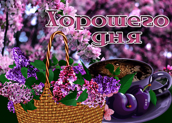 Красивая открытка «Хорошего дня» с корзиной сирени, чашкой кофе и спелой вишней на весеннем цветочном фоне. Идеальное весеннее пожелание! Анимированная открытка Хорошего дня Красивая праздничная открытка с надписью «Хорошего дня» на фоне весеннего цветения. В центре композиции — плетеная корзина, наполненная пышными ветками сирени и нежными цветами. Рядом с корзиной стоит чашка ароматного кофе, дополненная аппетитными спелыми вишнями. Изображение выполнено в нежных розовых и фиолетовых тонах, создавая атмосферу уюта, весеннего тепла и позитивного настроения