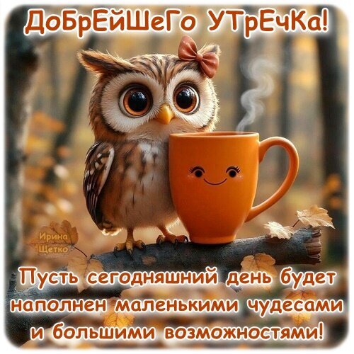 Доброе утро! Милая открытка с совушкой и пожеланием чудесного дня, наполненного возможностями. Идеально для рассылки в WhatsApp, Viber и соцсетях. Открытка Доброе утро! Милая и добрая открытка на доброе утро с изображением очаровательной совушки, которая держит оранжевую кружку с горячим напитком. На картинке красуется надпись: «Добрейшего утречка! Пусть сегодняшний день будет наполнен маленькими чудесами и большими возможностями!»