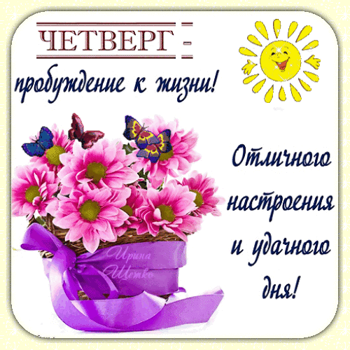 Красивая открытка на четверг с розовыми цветами, бабочками и солнцем. Пожелание отличного настроения и удачного дня на пробуждение к жизни! Анимированная открытка Четверг - пробуждение к жизни! Яркая поздравительная открытка на четверг. На изображении представлен пышный букет розовых хризантем в корзинке, украшенной фиолетовой лентой. Вокруг цветов порхают разноцветные бабочки, а в углу изображено улыбающееся солнце. Текст на русском языке гласит: 