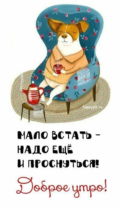 Забавная открытка «Доброе утро!» с милым псом в кресле. Текст: «Мало встать – надо еще и проснуться!». Идеально для пожелания бодрого утра и хорошего настроения. Открытка С добрым утром Милая и забавная поздравительная открытка на доброе утро. На иллюстрации изображен очаровательный белый пес в уютном свитере, который отдыхает в большом голубом кресле с цветочным принтом, попивая чай из красной кружки. Рядом на маленьком столике стоит красный чайник. Под картинкой расположен мотивирующий текст на русском языке: 