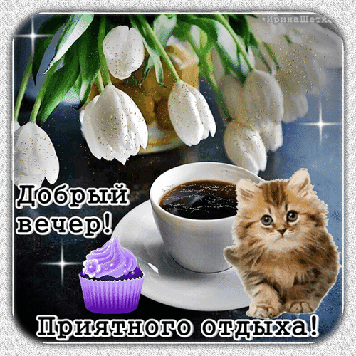 Доброй ночи и приятного отдыха! Уютная открытка с белыми тюльпанами, чашкой кофе, милым котенком и капкейком для создания теплого настроения. Анимированная открытка Добрый вечер! Приятного отдыха! Уютная поздравительная открытка для приятного вечера. На изображении представлены нежные белые тюльпаны в вазе, чашка ароматного черного кофе и очаровательный пушистый котенок. В композицию также добавлен аппетитный фиолетовый капкейк. Картинка дополнена мерцающими искрами и добрыми пожеланиями на русском языке: «Добрый вечер! Приятного отдыха!»