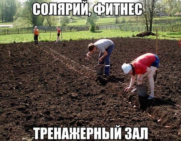 Смешной мем о фитнесе и работе на земле: ироничное сравнение занятий в тренажерном зале и тяжелого труда на грядках. Открытка Солярий, фитнес, тренажерный зал. Смешной мем, иронично сравнивающий физический труд на грядках с занятиями спортом. На картинке изображены люди, занимающиеся тяжелой работой на земле, с надписями «Солярий, фитнес» сверху и «Тренажерный зал» снизу