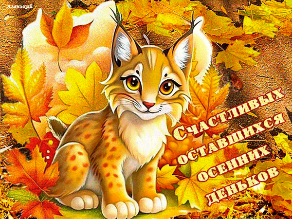 Милый рысенок на фоне осенних кленовых листьев с надписью «Счастливых оставшихся осенних деньков». Теплая праздничная осенняя открытка в золотистых тонах. Анимированная открытка Счастливых оставшихся осенних деньков! Красочная осенняя иллюстрация с милым рисованным рысенком (котенком) в центре композиции. Маленький пушистый зверек с большими выразительными глазами сидит на фоне яркой осенней листвы из желтых и оранжевых кленовых листьев. На изображении присутствует поздравительная надпись на русском языке: «Счастливых оставшихся осенних деньков». Картинка выполнена в теплых золотистых тонах, создавая уютное и праздничное осеннее настроение