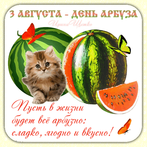 Милая открытка к Дню арбуза (3 августа) с рыжим котенком, спелыми арбузами и пожеланием сладкой и вкусной жизни. Идеально для поздравлений! Анимированная открытка С днем Арбуза! Яркая и милая поздравительная открытка к Дню арбуза (3 августа). На изображении запечатлен пушистый рыжий котенок на фоне целых и разрезанных спелых арбузов. Декор дополнен летящими бабочками и вдохновляющей надписью на русском языке: «3 августа — День арбуза. Пусть в жизни будет все арбузно: сладко, людно и вкусно!»