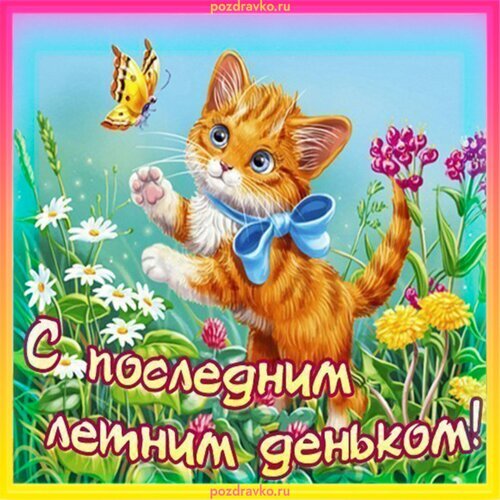 Милая открытка с рыжим котенком и бабочкой. Поздравление с последним днем лета. Яркая картинка с цветами и надписью С последним летним деньком! Открытка С последним днем лета! Милая открытка с рыжим котенком, играющим с бабочкой в цветочном поле. На изображении изображен солнечный летний день с ромашками и одуванчиками. На картинке присутствует поздравительная надпись на русском языке: С последним летним деньком! Милая открытка с рыжим котенком и бабочкой. Поздравление с последним днем лета. Яркая картинка с цветами и надписью С последним летним деньком! Открытка С последним днем лета! Милая открытка с рыжим котенком, играющим с бабочкой в цветочном поле. На изображении изображен солнечный летний день с ромашками и одуванчиками. На картинке присутствует поздравительная надпись на русском языке: С последним летним деньком!