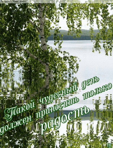 Вдохновляющая картинка с березой и озером и цитатой: «Такой чудесный день только должен приносить радость». Идеально для пожеланий и позитивного настроя. Анимированная открытка Такой чудесный день должен приносить только радость Красивое и вдохновляющее изображение природы с видом на спокойное озеро через ветви березы. На переднем плане нанесена мотивирующая цитата на русском языке: «Такой чудесный день только должен приносить радость». Изображение идеально подходит для использования в качестве обоев на рабочий стол, открыток для пожеланий хорошего дня, постов в социальных сетях (Instagram, VK, Pinterest) или в качестве фонового изображения для медитации и релаксации