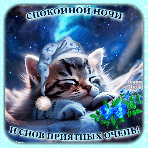 Милая открытка «Спокойной ночи» со спящим котенком в ночном колпаке, звездами и синими розами. Красивое пожелание приятных снов для близких. Анимированная открытка Спокойной ночи! Милая и уютная открытка для пожелания спокойной ночи. На изображении запечатлен спящий пушистый котенок в голубом ночном колпаке с белыми звездами. Фон выполнен в глубоких синих тонах ночного неба с мерцающими звездами и мягким сиянием. В нижней части композиции расположены нежные синие розы. На картинке на русском языке написан текст: «СПОКОЙНОЙ НОЧИ И СНОВ ПРИЯТНЫХ ОЧЕНЬ!»