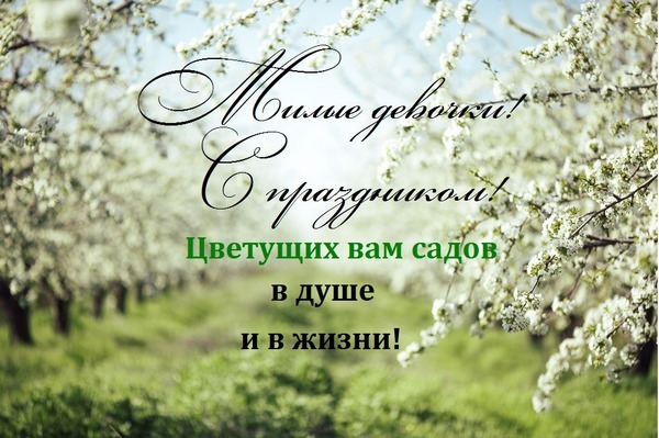 Поздравление для девушек: «Милые девочки! С праздником! Цветущих вам садов в душе и в жизни!» на фоне весеннего цветущего сада. Красивая открытка для соцсетей. Открытка Милые девочки! С праздником! Цветущих вам садов в душе и в жизни! Красивая открытка с поздравлением для девушек на фоне цветущего весеннего сада. На изображении нежные белые цветы плодовых деревьев и вдохновляющая надпись на русском языке: «Милые девочки! С праздником! Цветущих вам садов в душе и в жизни!»