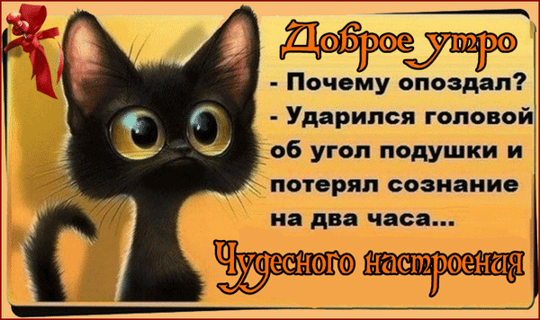Смешная открытка «Доброе утро» с черным котенком и шуткой про опоздание из-за подушки. Идеально для поднятия настроения и позитивного начала дня! Анимированная открытка Доброе утро! Чудесного настроения! Юмористическая открытка с милым черным котенком для доброго утра. На изображении представлен забавный диалог: «Доброе утро! — Почему опоздал? — Ударился головой об угол подушки и потерял сознание на два часа...»
