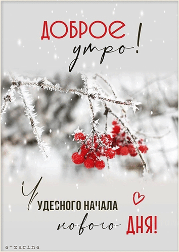 Зимняя открытка «Доброе утро!». Заснеженные ветки с красными ягодами и пожелание чудесного начала нового дня. Красивое фото для доброго утра. Анимированная открытка Доброе утро Красивая зимняя открытка с пожеланием доброго утра. На изображении запечатлены заснеженные ветки деревьев с яркими красными ягодами на фоне мягкого зимнего пейзажа. Надпись на русском языке гласит: «Доброе утро! У чудесного начала нового дня!»