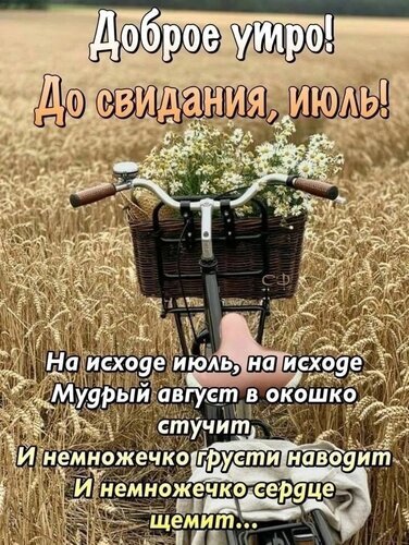 Доброе утро! Прощай, июль! Эстетичная открытка с велосипедом, цветами и пшеничным полем. Красивое пожелание на смену сезонов для соцсетей. Открытка Доброе утро! До свидания, июль! Эстетичное поздравительное изображение с надписью «Доброе утро! До свидания, июль!». На фоне золотистого пшеничного поля изображен велосипед с корзиной белых цветов. Текст на картинке пропитан легкой ностальгией и предчувствием перемен: «На исходе июль, на исходе мудрый август в окошко стучит...» Доброе утро! Прощай, июль! Эстетичная открытка с велосипедом, цветами и пшеничным полем. Красивое пожелание на смену сезонов для соцсетей. Открытка Доброе утро! До свидания, июль! Эстетичное поздравительное изображение с надписью «Доброе утро! До свидания, июль!». На фоне золотистого пшеничного поля изображен велосипед с корзиной белых цветов. Текст на картинке пропитан легкой ностальгией и предчувствием перемен: «На исходе июль, на исходе мудрый август в окошко стучит...»