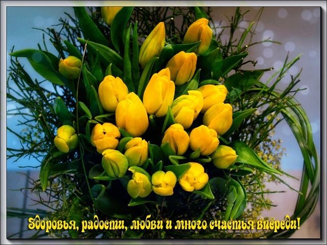 Букет желтых тюльпанов с пожеланием здоровья, радости, любви и счастья. Красивая открытка-поздравление для близких и друзей с добрыми словами. Открытка Здоровья, радости, любви и много счастья впереди! Красивый и яркий букет желтых тюльпанов с пышной зеленой листвой на светлом фоне. На изображении расположена поздравительная надпись на русском языке: Здоровья, радости, любви и много счастья впереди!