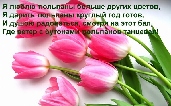 Розовые тюльпаны с красивым стихотворением о любви к цветам. Идеальная картинка-открытка для выражения нежных чувств и весеннего настроения. Открытка Я люблю тюльпаны больше других цветов, Я дарить тюльпаны круглый год готов, И душою радоваться, смот Красивое изображение букета нежно-розовых тюльпанов на белом фоне, дополненное трогательным стихотворением о любви к этим цветам. Изображение идеально подходит для использования в качестве поздравительной открытки, статуса в социальных сетях или вдохновляющей картинки на тему весны, любви и романтики Розовые тюльпаны с красивым стихотворением о любви к цветам. Идеальная картинка-открытка для выражения нежных чувств и весеннего настроения. Открытка Я люблю тюльпаны больше других цветов, Я дарить тюльпаны круглый год готов, И душою радоваться, смот Красивое изображение букета нежно-розовых тюльпанов на белом фоне, дополненное трогательным стихотворением о любви к этим цветам. Изображение идеально подходит для использования в качестве поздравительной открытки, статуса в социальных сетях или вдохновляющей картинки на тему весны, любви и романтики