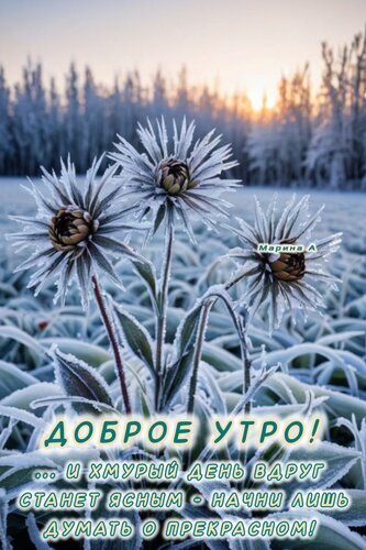 Доброе утро! Красивая зимняя открытка с заснеженными цветами и вдохновляющей цитатой для хорошего настроения в пасмурный день. Открытка Доброе утро!... И хмурый день вдруг станет ясным - начни лишь думать о прекрасном! Красивая открытка с пожеланием доброго утра на фоне заснеженных цветов в лучах утреннего солнца. На изображении запечатлены изящные растения, покрытые инеем или легким снегом, создающие атмосферу зимней сказки и спокойствия. Текст на русском языке гласит: «ДОБРОЕ УТРО! ... И ХМУРЫЙ ДЕНЬ ВДРУГ СТАНЕТ ЯСНЫМ — НАЧНИ ЛИШЬ ДУМАТЬ О ПРЕКРАСНОМ!»
