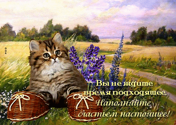 Милая открытка с котенком и цитатой о счастье: «Вы не ждите время подходящее, наполняйте счастьем настоящее!». Вдохновляющее пожелание на фоне летнего пейзажа. Анимированная открытка Удачного дня Очаровательная открытка с изображением пушистого котенка, сидящего на траве рядом с корзинками. На фоне — живописный летний пейзаж с фиолетовыми цветами лупина и золотистым полем под мягким небом. На картинке размещена вдохновляющая цитата на русском языке: «Вы не ждите время подходящее, наполняйте счастьем настоящее!»