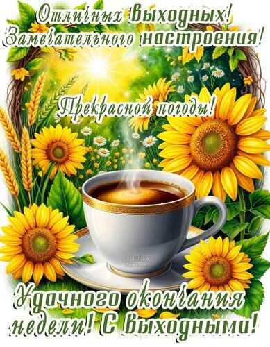 Яркая открытка с подсолнухами и чашкой кофе. Пожелание отличных выходных, прекрасной погоды и замечательного настроения. Идеально для мессенджеров. Открытка Отличных выходных и замечательного настроения! Яркая и позитивная открытка для пожелания отличных выходных. На изображении изображены крупные подсолнухи, залитые солнечным светом, и чашка горячего ароматного кофе с парящим паром. На фоне — зеленая луговая растительность и колосья пшеницы