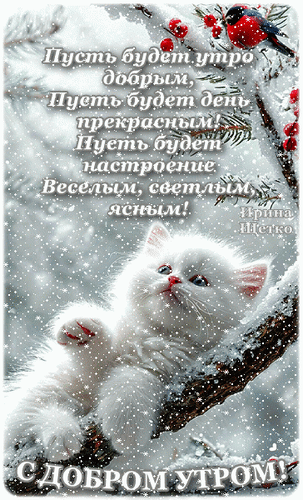 Милая зимняя открытка с белым котенком и пожеланием доброго утра на фоне снега и веток. Идеально для поздравительных сообщений и соцсетей. Анимированная открытка Доброе утро! Милая зимняя открытка с пушистым белым котенком, лежащим на заснеженной ветке дерева под падающим снегом. На изображении размещен поздравительный текст на русском языке: «Пусть будет утро добрым, Пусть будет день прекрасным! Пусть будет настроение веселым, светлым, ясным! С ДОБРОМ УТРОМ!»