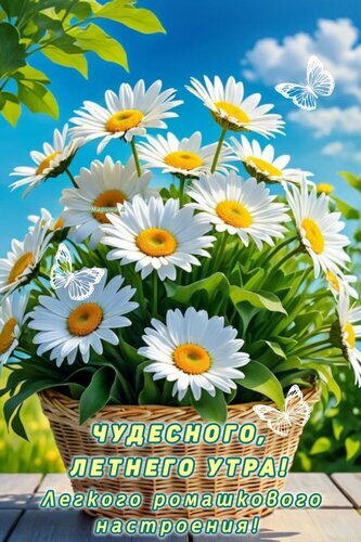 Яркая открытка с букетом ромашек в корзине, белыми бабочками и пожеланием чудесного летнего утра. Идеально для доброго утра и летнего настроения! Открытка Чудесного, Летнего УТРА! Легкого Ромашкового Настроения! Красочное и яркое изображение букета белоснежных ромашек в плетеной корзинке на фоне голубого неба с легкими облаками. В композиции присутствуют изящные белые бабочки, создающие атмосферу легкости и весеннего тепла. На картинке наложен вдохновляющий текст на русском языке: «Чудесного, летнего утра! Легкого ромашкового настроения!». Идеально подходит для использования в качестве поздравительной открытки, пожелания доброго утра или для создания летнего настроения в социальных сетях