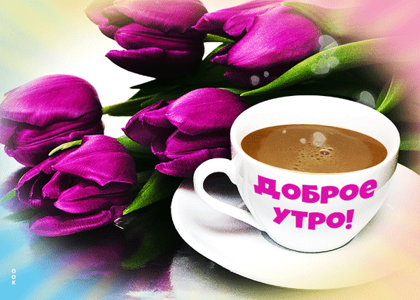 Красивая открытка «Доброе утро!» с чашкой кофе и букетом фиолетовых тюльпанов. Яркое и уютное изображение для пожелания отличного настроения. Анимированная открытка Доброе утро Эстетичное и вдохновляющее изображение для пожелания доброго утра. На картинке запечатлена чашка ароматного кофе в белой керамической кружке с надписью «ДОБРОЕ УТРО!» на фоне роскошного букета ярких фиолетовых тюльпанов. Теплые солнечные блики и нежная цветовая гамма создают уютную, позитивную и праздничную атмосферу