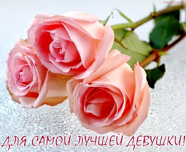 Три нежные розовые розы с надписью «Для самой лучшей девушки!». Красивая картинка для романтического поздравления и признания в любви. Открытка Для самой лучшей девушки! Красивое и нежное фото трех распустившихся розовых роз на светлом фоне. Цветы выглядят свежими и пышными, создавая романтическую и вдохновляющую атмосферу. На изображении присутствует надпись на русском языке красным шрифтом: 