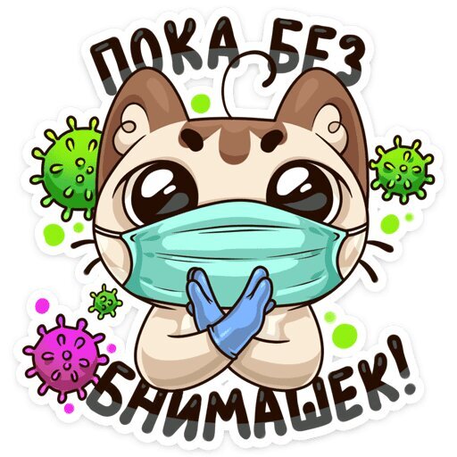 Милый стикер с котиком в маске и перчатках на фоне вирусов с надписью «БНИМАШЕК!». Иллюстрация на тему гигиены и защиты от вирусов в мультяшном стиле. Открытка Пока без обнимашек! Стикер в мультяшном стиле с изображением милого котика, защищающего себя от вируса. Персонаж одет в медицинскую маску и голубые перчатки, вокруг него расположены изображения микробов и вирусных частиц. В нижней части стикера расположена надпись на русском языке «БНИМАШЕК!». Иллюстрация выполнена в ярких цветах с четким белым контуром, характерным для наклеек