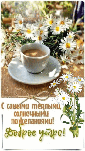 Красивая открытка Доброе утро! с чашкой кофе и белыми ромашками. Теплые солнечные пожелания для хорошего настроения и уютного начала дня. Анимированная открытка С самыми теплыми, солнечными пожеланиями! Доброе утро! Красивая поздравительная открытка для доброго утра в светлых и теплых тонах. На изображении представлена чашка горячего кофе на блюдце, окруженная нежным букетом белых ромашек. Композиция расположена на деревянном фоне, залитом солнечным светом, что создает атмосферу уюта и радости. В нижней части картинки размещена надпись на русском языке: 