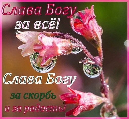 Духовная открытка с розовыми цветами и каплями росы. Текст: «Слава Богу за все! Слава Богу за скорбь и за радость!». Красивое изображение для вдохновения и благодарности. Открытка Слава Богу за все! Слава Богу за скорбь и за радость! Красивое эстетичное изображение розовых цветов с крупными каплями росы или дождя на лепестках. На картинке размещен вдохновляющий текст на русском языке: «Слава Богу за все! Слава Богу за скорбь и за радость!». Изображение наполнено глубоким духовным смыслом, символизируя благодарность Богу за все жизненные моменты — как счастливые, так и трудные