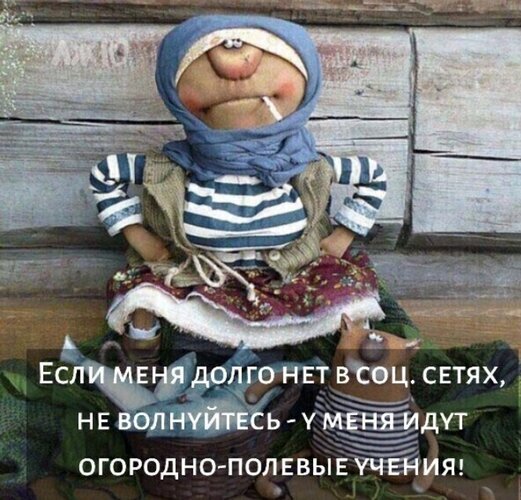 Смешной мем про дачу: кукла с текстом «Если меня долго нет в соц. сетях, не волнуйтесь — у меня идут огородно-полевые учения!». Юмор про дачников и огород. Открытка Если меня долго нет в соц сетях, не волнуйтесь - у меня идут огородно-полевые учения. Смешная картинка с тряпичной куклой в синем платке, полосатой кофте и юбке, которая выглядит очень задумчивой и уставшей. Внизу расположен текст на русском языке: 