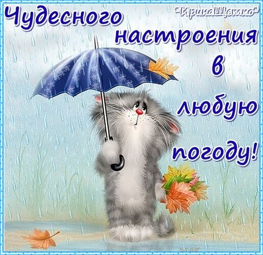 Милая открытка с котиком под зонтом и осенними листьями. Надпись: «Чудесного настроения в любую погоду!». Позитивное пожелание для дождливого дня. Открытка Хорошего настроения Милая и добрая открытка с мультяшным серым котиком, который стоит под синим зонтиком под дождем. В руках у котика букет осенних листьев, что создает уютную атмосферу. На картинке написан вдохновляющий текст на русском языке: «Чудесного настроения в любую погоду!»