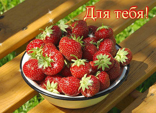 Спелая садовая клубника в миске на деревянной скамье с надписью «Для тебя!». Яркое летнее фото для поздравлений и создания праздничного настроения. Анимированная открытка Для тебя! Аппетитная и яркая фотография корзинки со спелой, крупной садовой клубникой. Красные ягоды с сочными зелеными хвостиками аккуратно сложены в белую чашу с черной окантовкой. Чаша стоит на деревянной скамье на фоне залитой солнцем зеленой травы. В верхнем правом углу кадра расположена приветственная надпись на русском языке «Для тебя!», выполненная золотистым шрифтом с эффектом свечения