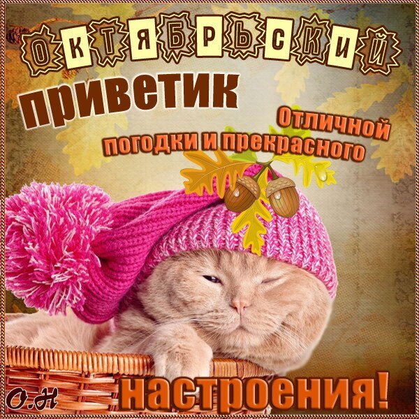 Осенняя открытка «Октябрьский приветик» с милым котом. Пожелание отличной погоды и прекрасного настроения в уютном осеннем стиле. Открытка Октябрьский привет! Отличной погодки и классного настроения! Милая поздравительная открытка с рыжим котом, отдыхающим в корзинке. На изображении надпись на русском языке: «Октябрьский приветик, отличной погодки и прекрасного настроения!». Картинка выполнена в уютной осенней стилистике с изображением дубовых листьев и желудей на теплом фоне