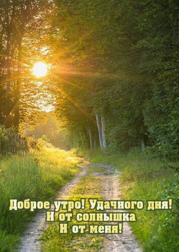 Доброе утро! Красивая картинка с солнечным лесом и пожеланием удачного дня. Идеальное визуальное поздравление для отправки друзьям и близким в мессенджерах. Открытка Доброго утра! Удачного дня! И от солнышка И от меня! Красивое поздравительное изображение с солнечным светом, пробивающимся сквозь густую листву деревьев на лесной тропинке. На картинке виден живописный пейзаж природы в золотистых тонах, создающий ощущение уюта и тепла. Текст на русском языке гласит: 