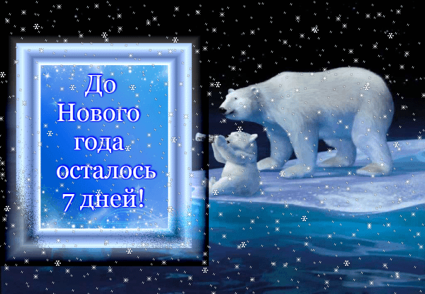 Новогодняя открытка с белым медведем и надписью «До Нового года осталось 7 дней!». Зимний пейзаж, снежинки и праздничное настроение. Анимированная открытка До нового года осталось 7 дней! Праздничная зимняя открытка с изображением белого медведя и медвежонка на льдине в заснеженной арктической ночи. На фоне синего неба и падающих снежинок расположена декоративная рамка с надписью на русском языке: «До Нового года осталось 7 дней!». Изображение выполнено в сине-голубых тонах, создавая атмосферу зимнего волшебства и ожидания праздника