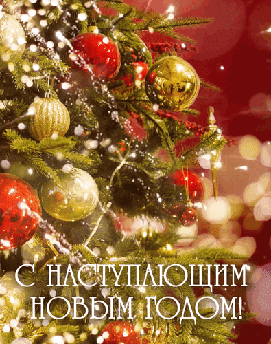 Праздничная новогодняя елка с золотыми и красными шарами и надписью «С наступающим Новым годом!». Атмосферное фото для новогодних поздравлений. Анимированная открытка С наступающим новым годом! Праздничное изображение новогодней елки, украшенной блестящими золотыми и красными шарами. На фоне мягкого мерцания огней и праздничной гирлянды расположена надпись на русском языке: «С наступающим Новым годом!»