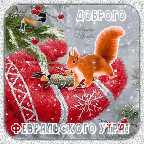 Красивая зимняя открытка с белкой и птичкой. Текст: «Доброго февральского утра!». Уютная картинка для поздравления близких в феврале. Анимированная открытка Доброго февральского утра! Праздничная поздравительная открытка с зимним настроением. На изображении представлена рыжая белка и маленькая птичка на фоне пушистого красного вязаного свитера, украшенного снежинками. Декор дополнен хвойными ветками и красными ягодами. На картинке размещен поздравительный текст на русском языке: «Доброго февральского утра!»