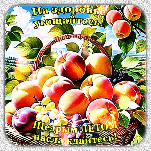 Яркая картинка с корзиной спелых персиков, абрикосов и винограда. Пожелание «На здоровье угощайтесь!» и «Щедрым летом наслаждайтесь!» для летних открыток. Анимированная открытка На здоровье угощайтесь! Красочное и аппетитное изображение корзины с сочными летними фруктами. В центре композиции — спелые персики и абрикосы с нежной кожицей, дополненные гроздьями винограда. Яркие цвета, солнечный свет и пышная зелень создают атмосферу изобилия и летнего тепла
