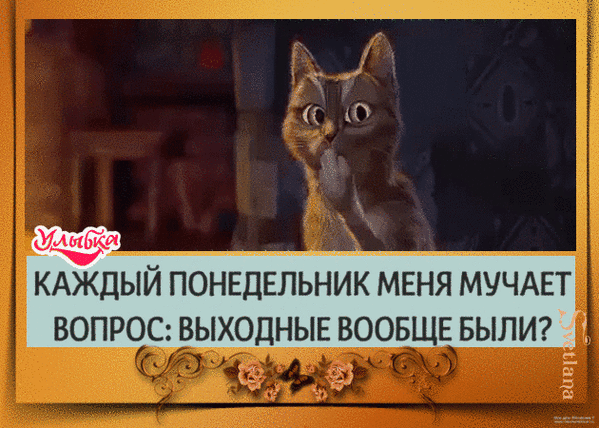 Смешной мем с котом про тяжелый понедельник и вопрос: «Выходные вообще были?». Забавная картинка для поднятия настроения в начале рабочей недели. Анимированная открытка Понедельник... выходные вообще были? Забавный мем с рыжим котом, который выглядит растерянным и озадаченным. На картинке расположен текст на русском языке: «Каждый понедельник меня мучает вопрос: выходные вообще были?». Изображение оформлено в виде стилизованной открытки в золотистой рамке с цветочными элементами и логотипом «Улыбка». Идеально подходит для передачи настроения начала рабочей недели, постиронии и юмора о тяжелых понедельниках