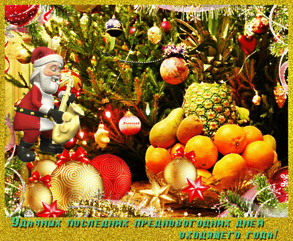 Новогодняя открытка с Дедом Морозом, елочными игрушками и корзиной фруктов. Поздравление: Удачных последних предновогодних дней уходящего года! Анимированная открытка Удачных Последних Предновогодних ДНЕЙ Праздничная поздравительная открытка в новогоднем стиле. На изображении представлено яркое сочетание рождественской елки, украшенной шарами и мишурой, и корзины с сочными фруктами: апельсинами, грушами и ананасом. Слева расположена забавная фигурка Деда Мороза (Санта-Клауса) с мешком подарков. В нижней части кадра на русском языке красуется праздничная надпись: Удачных последних предновогодних дней уходящего года!